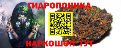 молекула духа Рузаевка