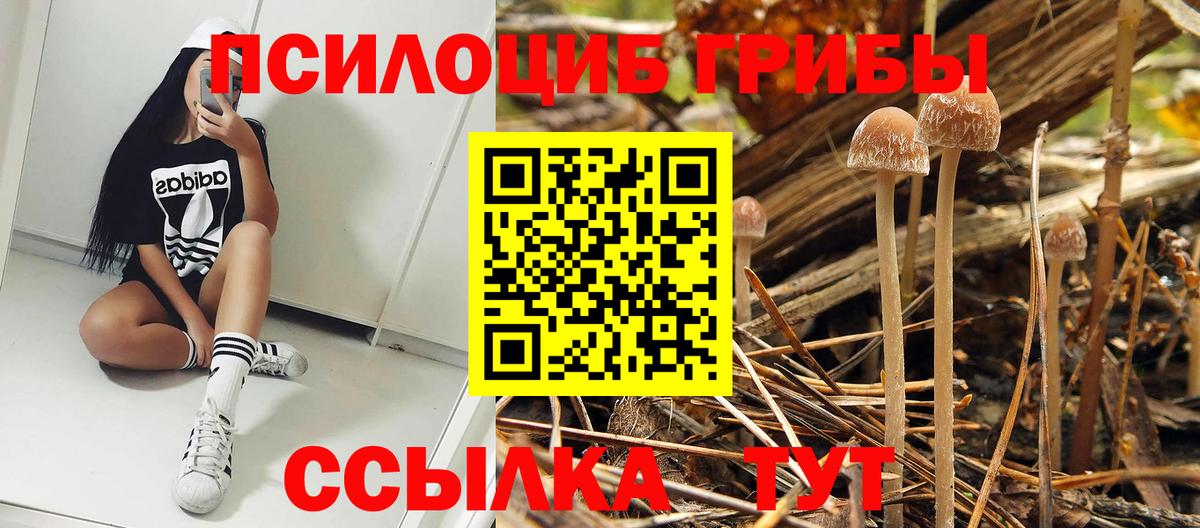Псилоцибиновые грибы мухоморы Норильск