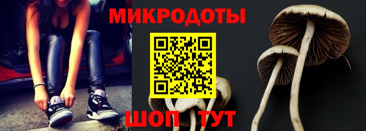 Галлюциногенные грибы Psilocybe  Галлюциногенные грибы ЛСД  Вход с VPN  Норильск 