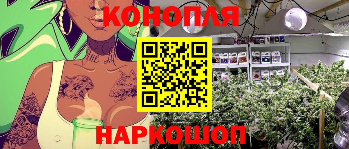Бошки Шишки марихуана Норильск